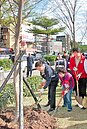 郝龍斌萬華植樹　打造林蔭大道