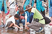 重金屬超標　環團：桃園沿海野蚵別吃