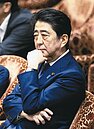 安倍民調崩跌　改革蒙陰影