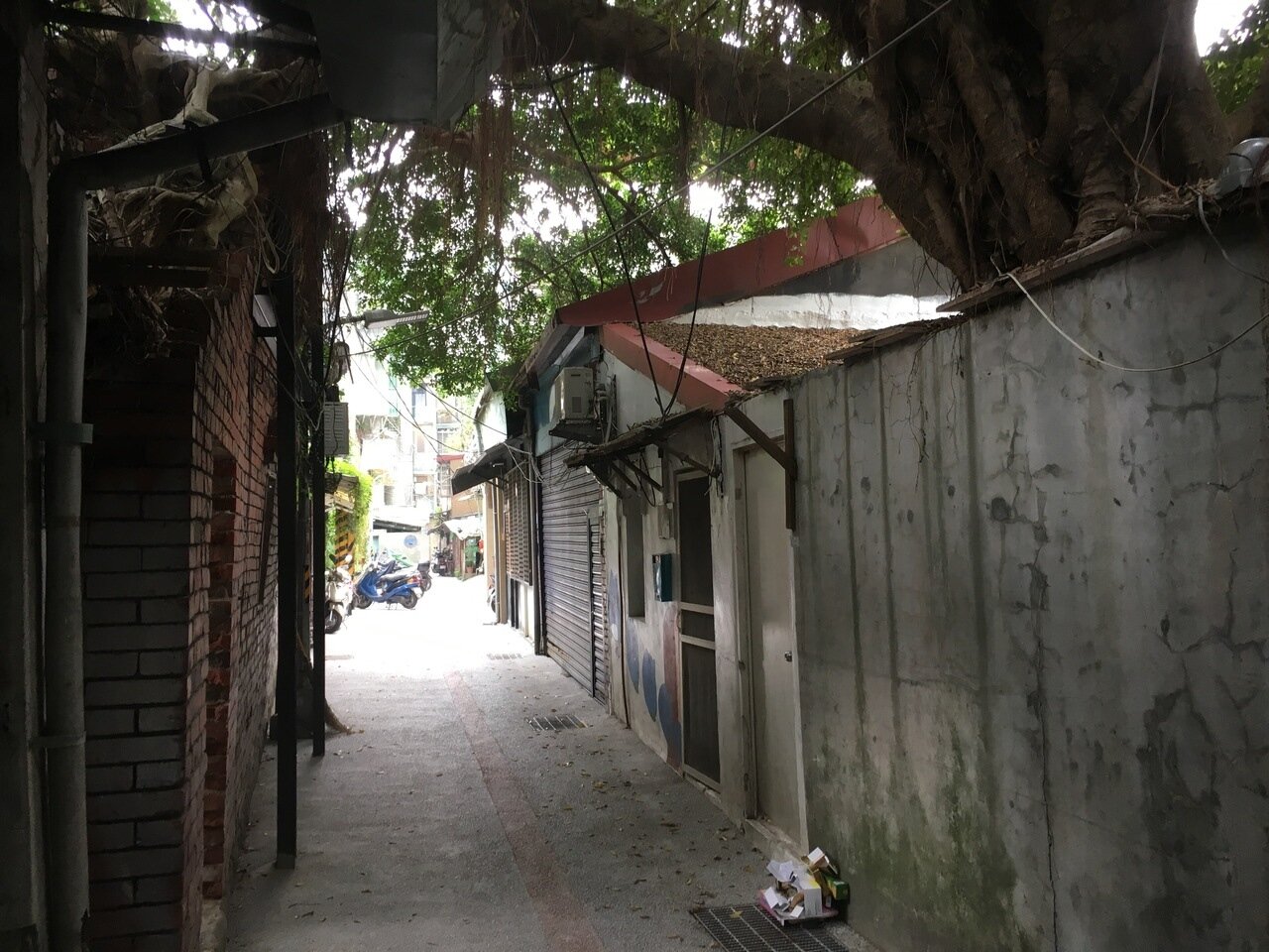 台北市決定闢建大同388號公園,當地兩樣情,有人歡慶新公園、有人擔心居無定所。 記者張世杰/攝影