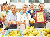 新埔水梨　颱風前夕搶賣