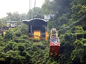 烏來纜車8月滿50歲　雲仙樂園生日快樂