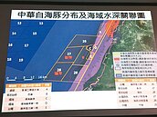 彰濱離岸風電　德商撤案