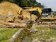 翠湖違法挖1.5頃　地主、營造商被訴