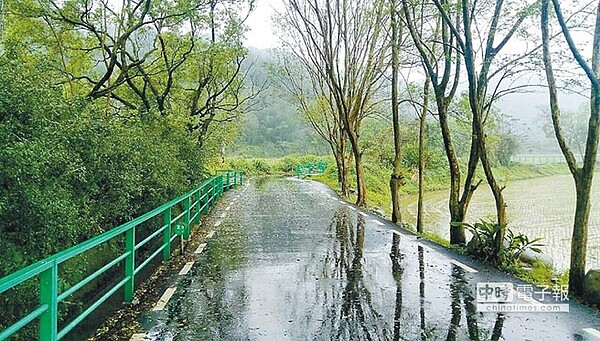 桃園市自行車道不足，鄉間地方爭取設YouBike駐點，但市區自行車僅能與大車爭道。（甘嘉雯攝）