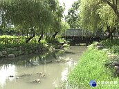 竹北東興圳故事多　爭取前瞻再現客家歷史