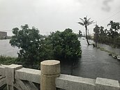 等了40多年　東港治水擬闢滯洪池　地方不看好