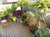 田園自給自足當道　你也可以很農青