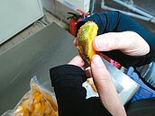 摩斯「綠薯條」　業者：進貨有通過檢驗