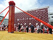 半山夢工廠　南投打造「阿凡達生命樹」