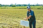 金屬汙染蘆竹農地　桃市列管禁耕