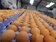 「毒雞蛋」風波延燒　英超市下架含蛋產品