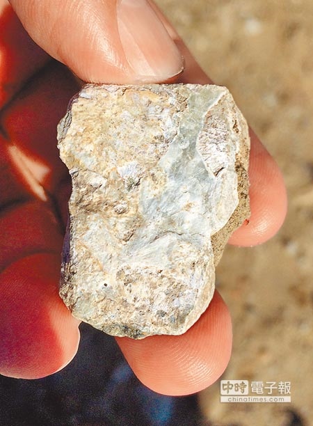 變質的玉石廢料，在富山遺址的表層就能發現。（黃力勉攝）
