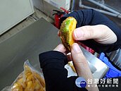 摩斯漢堡綠薯條　龍葵鹼未超標