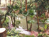 新北土城媽祖田　重現兒時後花園