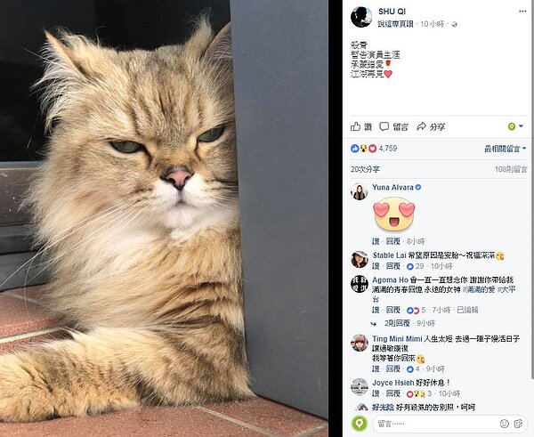 舒淇在臉書上發文。(圖片擷取自臉書)