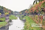 籃球場變親水公園　挨轟沒道理