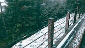 玉山　3天連降2場雪