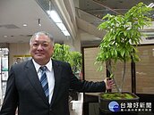 把荔枝樹變盆栽　溫度控制冬天也能開花