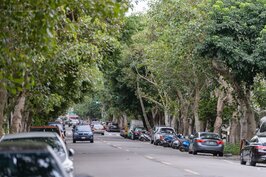 綠樹濃蔭的綠色隧道，是民生社區以及富錦街的地標。
