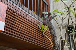 隨著個性店家一間間的進駐。民生社區富錦街一帶不再只是單純的住宅區，而是充滿了濃郁的人文特性。