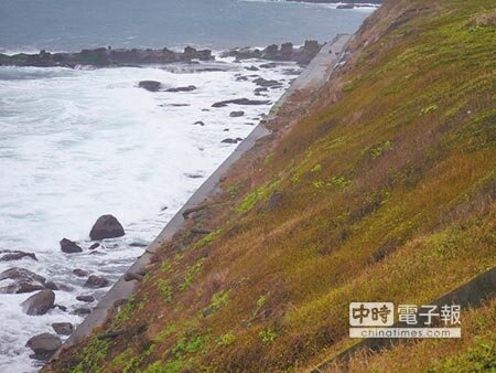 潮境公園邊坡經季風大浪拍打,土壤仍然流失。(張穎齊攝)