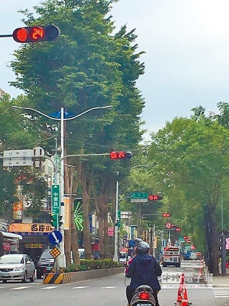 樹林區中華路交通號誌密度驚人,成為地方奇景之一。(吳堂靖攝)