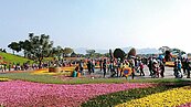 台中花毯節　首日10萬人