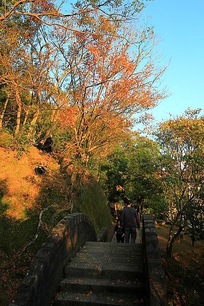 汐止拱北殿賞楓。(網友Happy Chi授權提供)