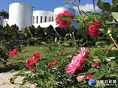 感受浪漫的花香氛圍　台北玫瑰園四季飄香