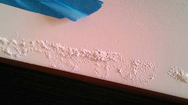 新成屋牆壁樓梯就有壁癌(PPT)