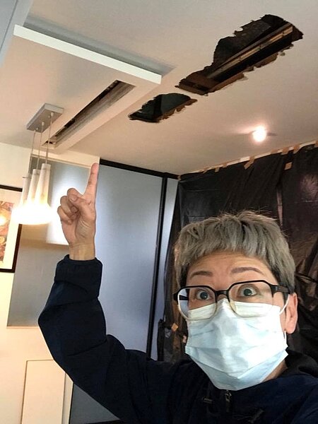 曹蘭家天花板發現老鼠乾屍（曹蘭蘭蘭蘭臉書）