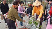 台中限定小確幸！領苗不用錢　2小時領走2千盆