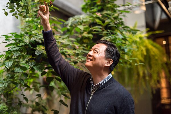 暫別政治圈的日子裡，周錫瑋養花蒔草作為興趣。（好房網News記者張聖奕／攝影）