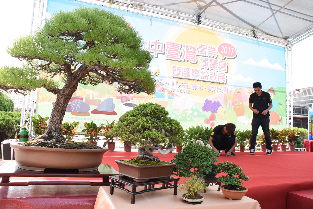 今年的中台灣農業博覽會還結合了國際盆栽展與雅石展。 記者凌筠婷／攝影