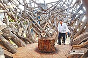 國際漂流木藝術節　點亮桃園