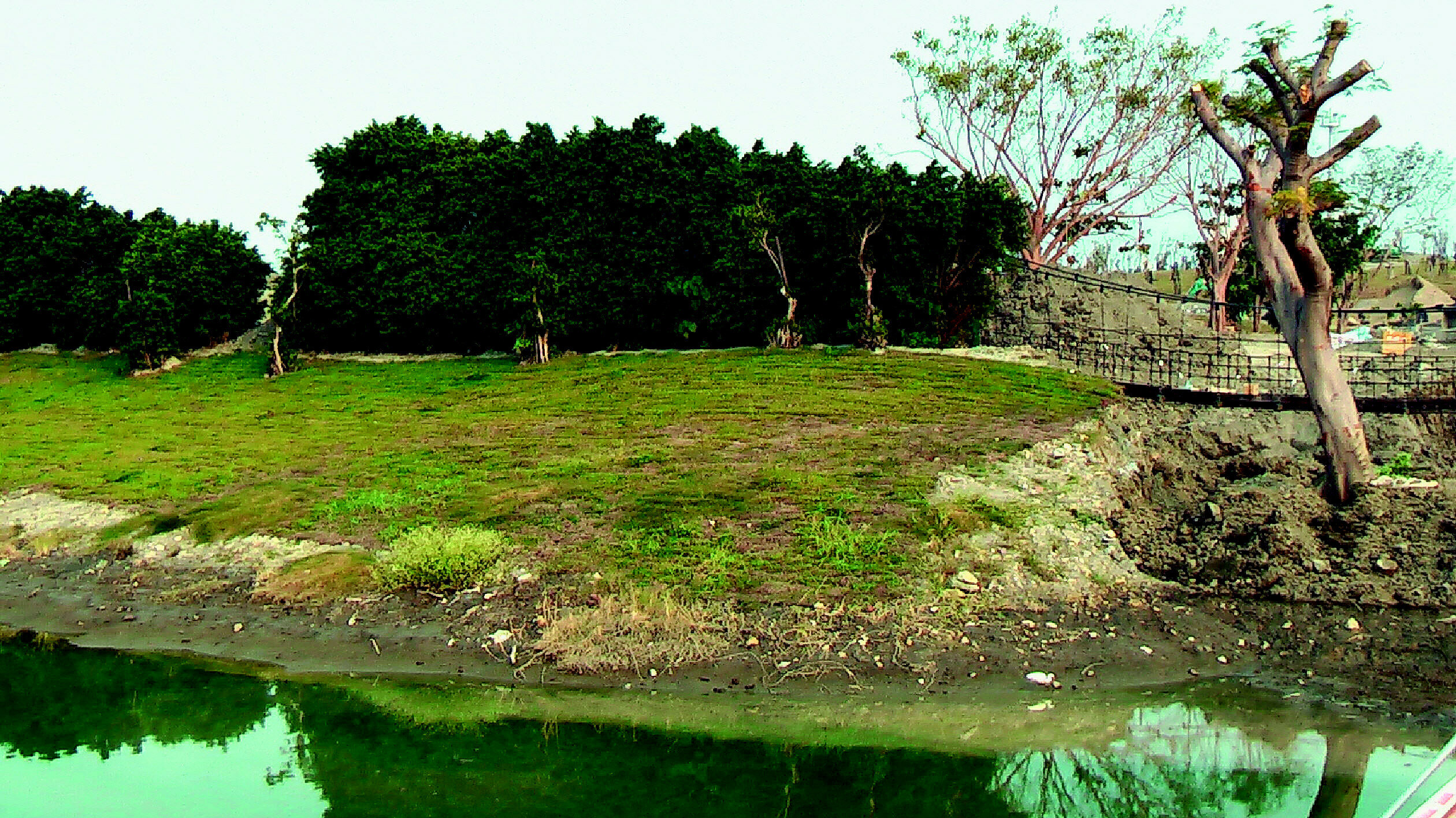 中都濕地公園是市區難得一見大型的濕地公園。 記者謝梅芬／攝影
