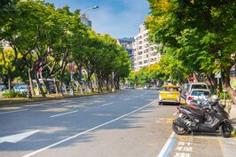 台灣欒樹的黃花襯印著藍天，寬廣的街道上不見人車擁擠，這裡是緩步生活最好的地方。