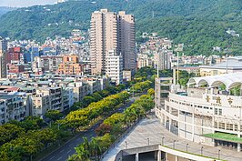 要俯瞰這一條美麗的台灣欒樹大道，最好的景點就在大葉高島屋立體停車場邊。