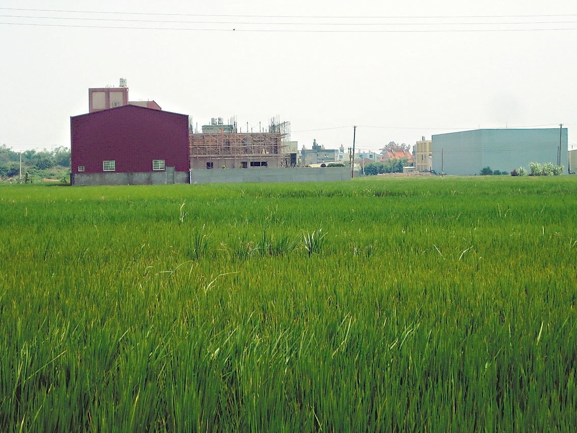 彰化縣隨處可見工廠矗立在綠野平疇間。 記者簡慧珍／攝影
