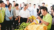 香蕉價格暴跌　農委會：責無旁貸