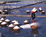 布袋溼地轉型　大砲變望遠鏡