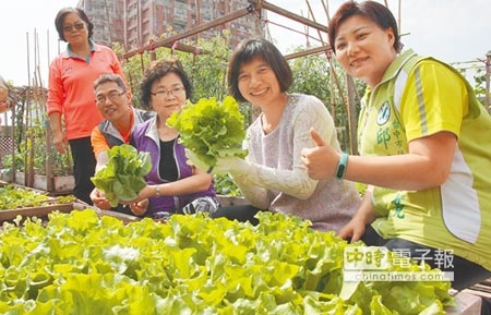 社區發展協會在頂樓農園舉辦「城食辦桌．愛分享」活動，台中市副市長林依瑩（右二）與志工一起種菜、收成。（陳淑芬攝）