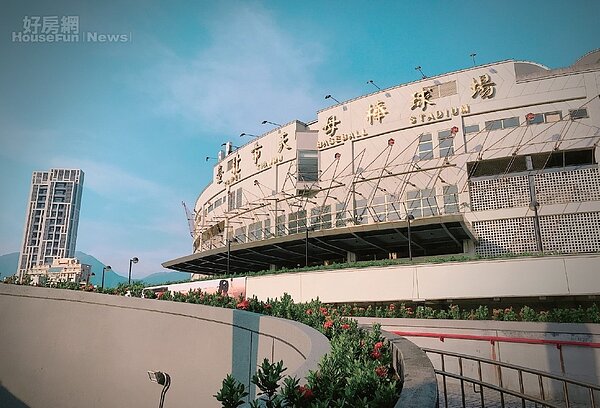 天母.忠誠路 欒樹大道四季如畫