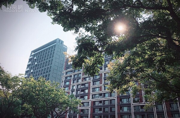 天母.忠誠路 欒樹大道四季如畫