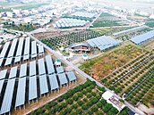 以後誰耕田？農民搶種光電　不利耕作農地暴增近1倍