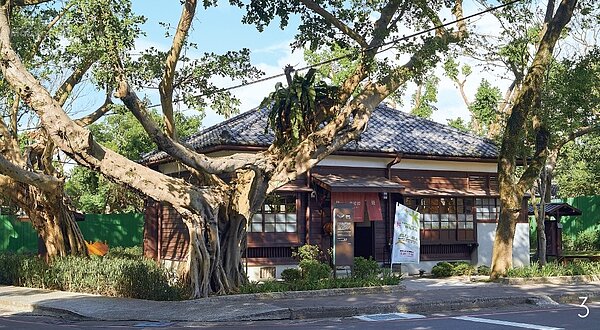 桃園小放空(下)大溪老屋秋日慢遊