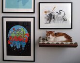壁掛式寵物床／把你家的寵物掛到牆上當壁畫