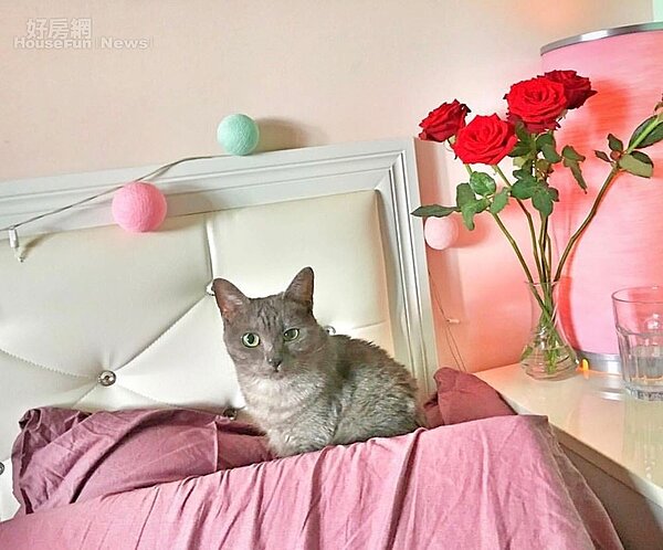 6-7.泡泡坦承有顆少女心，床舖當然要挑選誇張的大pink風，把臥房打造成超夢幻公主風。
