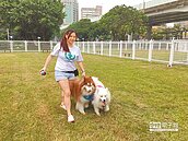 毛小孩無處跑　至今僅2處公園能活動